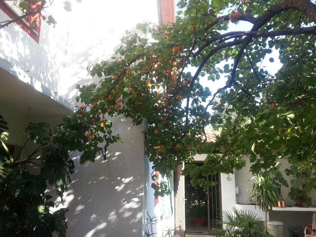 Guest House Goa Mostar Chambre photo
